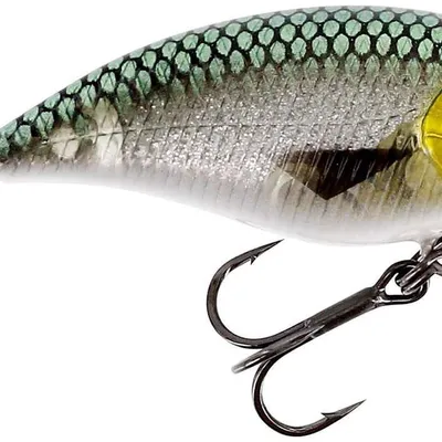 Wobler Westin BuzzBite SR Crankbait