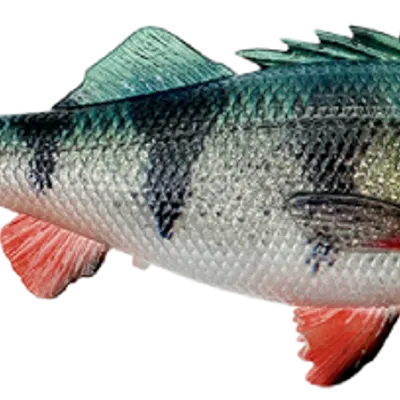 Guma Savage Gear 4D Perch Shad