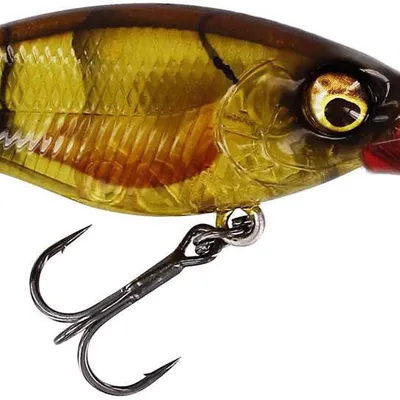 Wobler Westin BuzzBite DR Crankbait