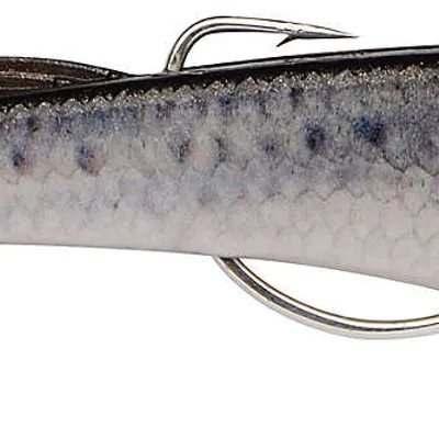 Guma morska Berkley Power Sardine