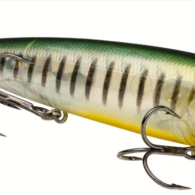 Wobler Strike King KVD Sexy Dawg Topwater