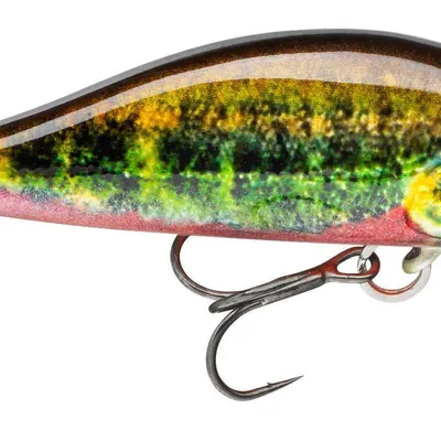 Wobler Daiwa Prorex Flat Minnow