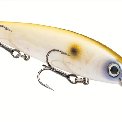 Wobler Strike King KVD Jerkbait 300