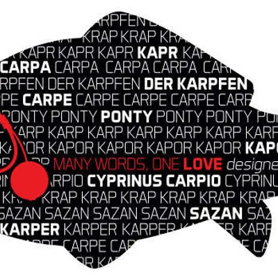 Naklejka Delphin KAPOR séria Words