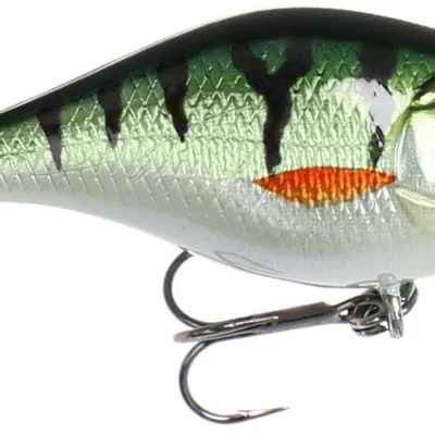 Wobler Mikado Bold Head