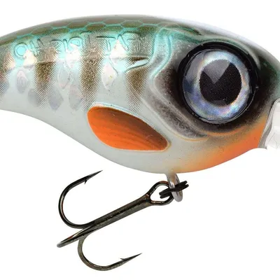 Wobler Spro Fat Iris Dr