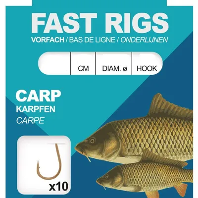 Hak z przyponem C-Tec Carp Gold