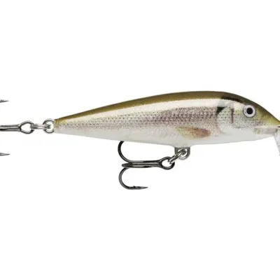 Wobler Rapala Team Esko