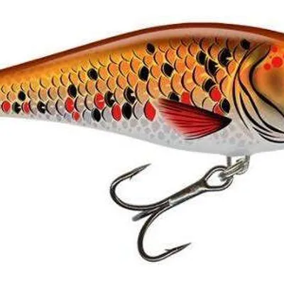 Wobler Salmo Executor