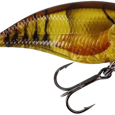 Wobler Westin BuzzBite SR Crankbait