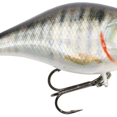 Wobler Mikado Bold Head