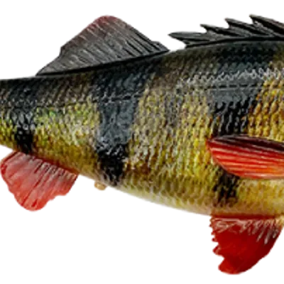 Guma Savage Gear 4D Perch Shad