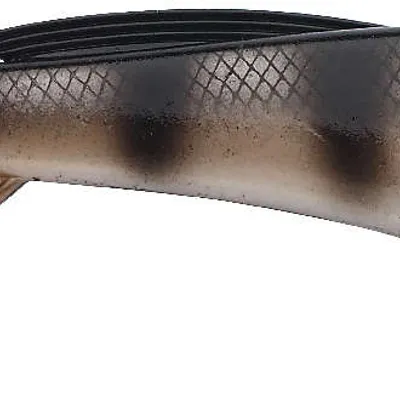 Guma Abu Garcia Beast Paddle Tail