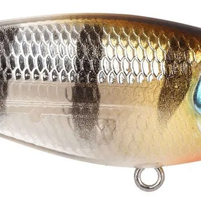 Wobler Spro Ikiru Shad SL