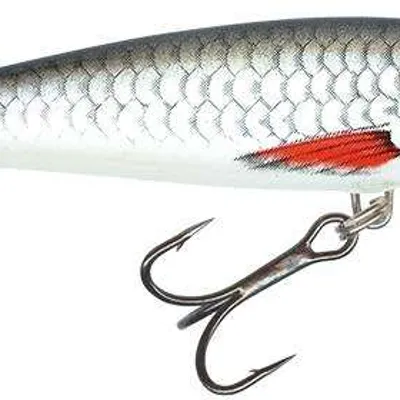 Wobler Salmo Minnow