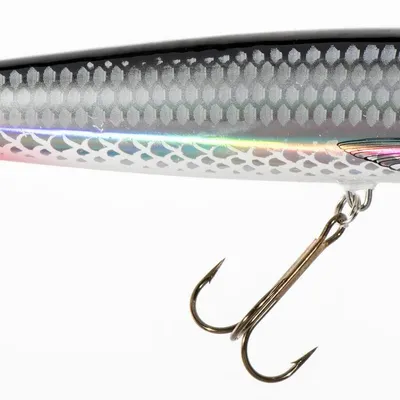 Woblery Jaxon HS Fish Max - kolor SC