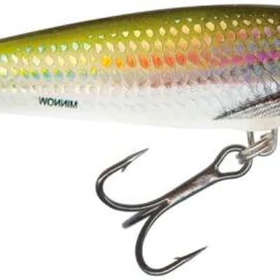 Wobler Salmo Minnow