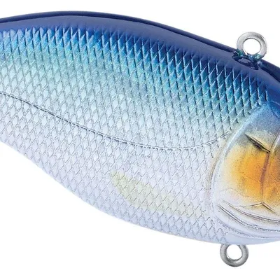 Wobler Spro Aruku Shad