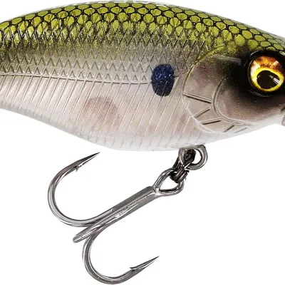 Wobler Westin Buzzbite Crankbait