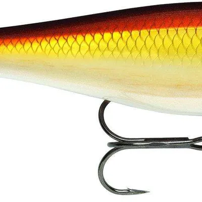 Wobler Rapala BX Minnow