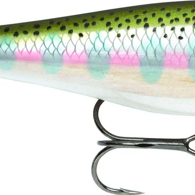 Wobler Rapala BX Minnow