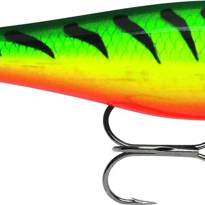 Wobler Rapala BX Minnow