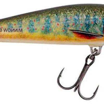 Wobler Salmo Minnow