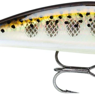 Wobler Rapala X-Rap Countdown