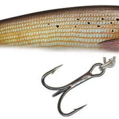 Wobler Salmo Minnow