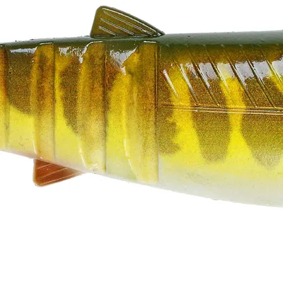 Guma spinningowa Savage Gear Cannibal Shad NEW Edition