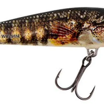 Wobler Salmo Minnow