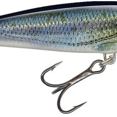 Wobler Salmo Minnow