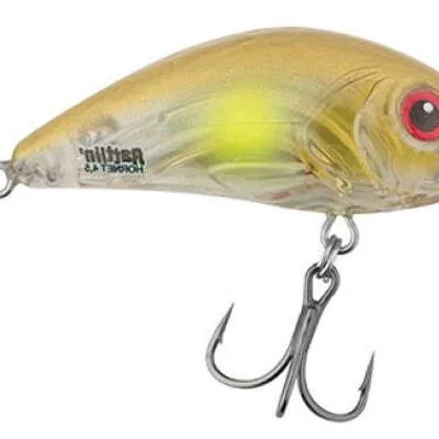 Wobler Salmo Rattlin' Hornet SR