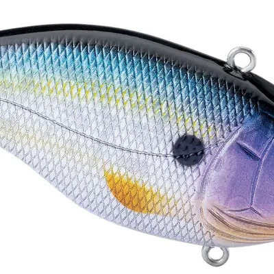 Wobler Spro Aruku Shad