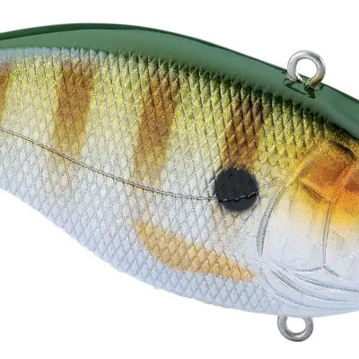 Wobler Spro Aruku Shad