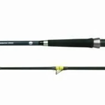 Wędka Black Cat Passion Pro II 240cm, 300-600g