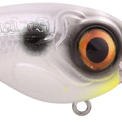 Wobler Spro Fat Iris CR