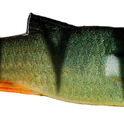 Guma Mikado Flat Fish