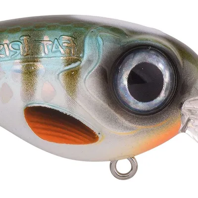 Wobler Spro Fat Iris CR