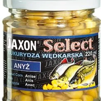 Kukurydza Jaxon Select