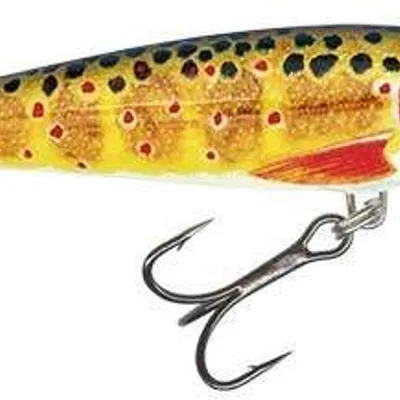 Wobler Salmo Minnow