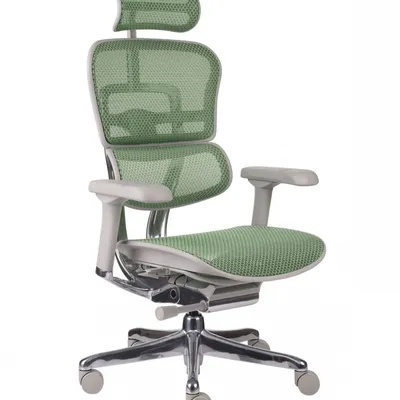 Fotel-Ergohuman-2-Elite-GS-Green