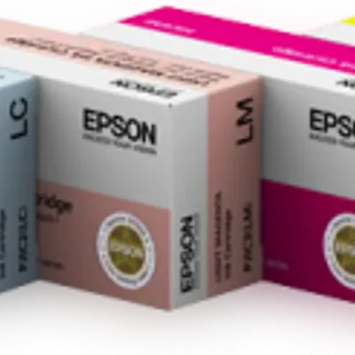 Tusz oryginalny EPSON S020452 C13S020452 Czarny  32,2 ml