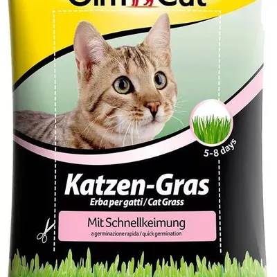 GIMCAT Trawa dla kota w woreczku 100g