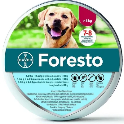 BAYER/ OBROŻA FORESTO DLA PSÓW POWYŻEJ 8 KG 4,50g + 2,03g - 70 cm