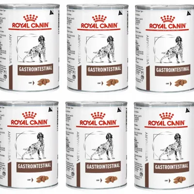 ZESTAW ROYAL CANIN Gastro Intestinal GI25 6 x 400g