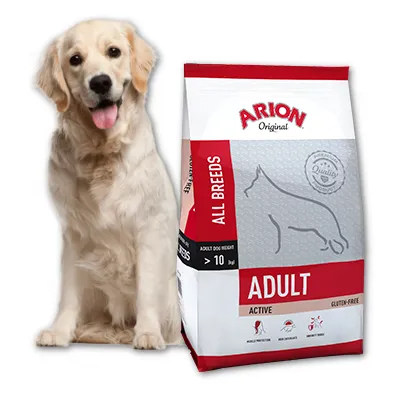 ARION Original Adult All Breeds Active 12kg