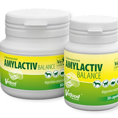 VETFOOD Amylactiv Balance 60 tab.