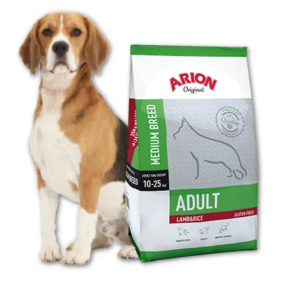 ARION Original Adult Medium Breed Lamb & Rice 12kg