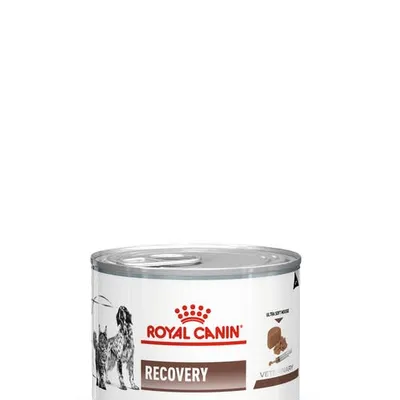 ROYAL CANIN Recovery 195g puszka